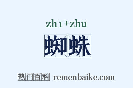 蜘蛛是什么意思的图片